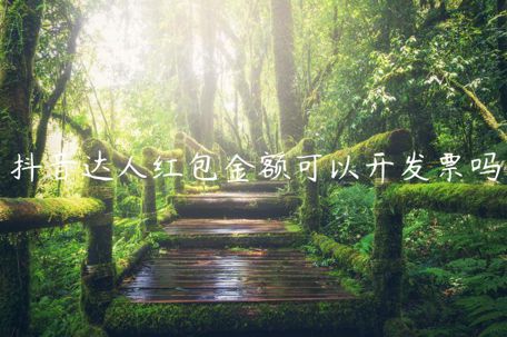 抖音達人紅包金額可以開發(fā)票嗎